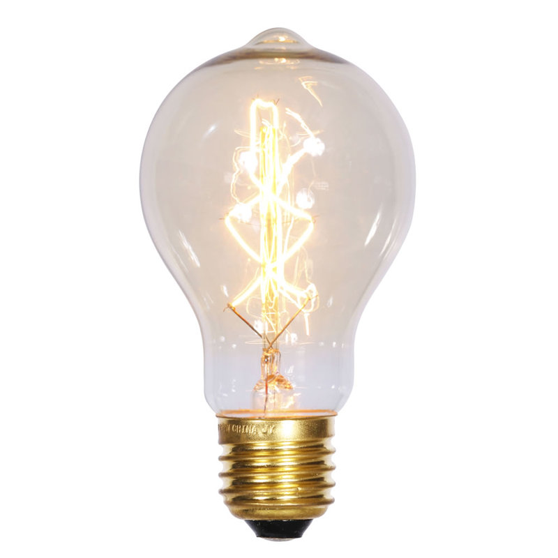 40W E26 Incandescent Edison Light Bulb & Reviews AllModern